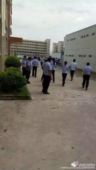 赞皇爆料最新视频,惊人内幕曝光！  第2张